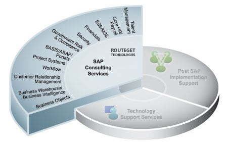 SAP Consulting Services by Routeget Technologies