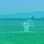 Artificial Intelligence: Improving Harvests and the Human Experience